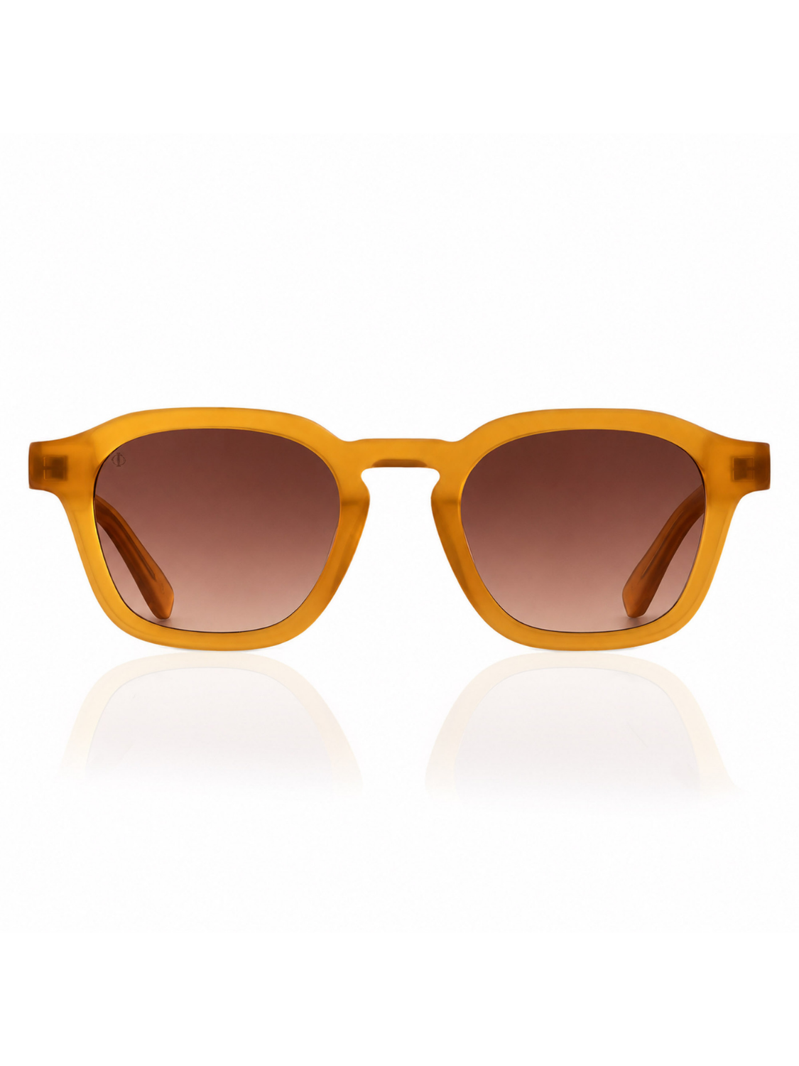 SIKINOS IN ELECTRUM AMBER WITH MAROON LENSES